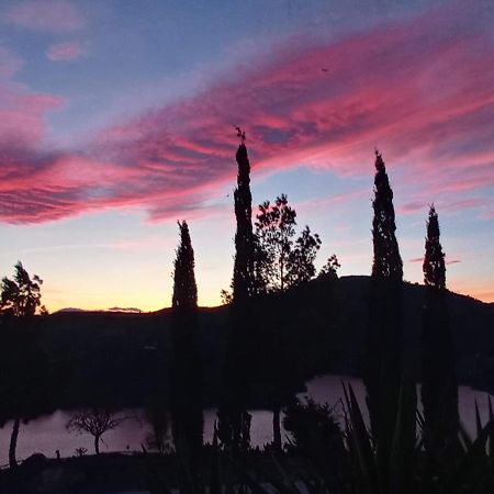 Finca Mallorquin مالقة المظهر الخارجي الصورة